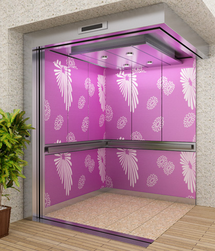 Lift Interiors In India, Architectural Works In India , Stainless Steel Works In India